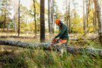 Reťazová akumulátorová píla Husqvarna 435i