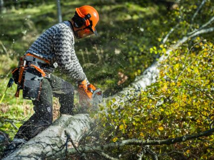 Reťazová píla Husqvarna 450 S