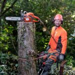 Reťazová píla Husqvarna 545 Mark II