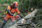 Reťazová píla Husqvarna 550 XPG Mark II