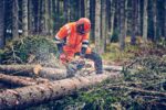 Reťazová píla Husqvarna 560 XPG Mark II