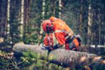 Reťazová píla Husqvarna 560 XPG Mark II