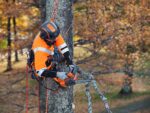 Reťazová píla Husqvarna T 525