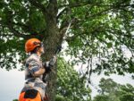 Husqvarna Aspire P8X-P4A+Teleskopická tyč Aspire